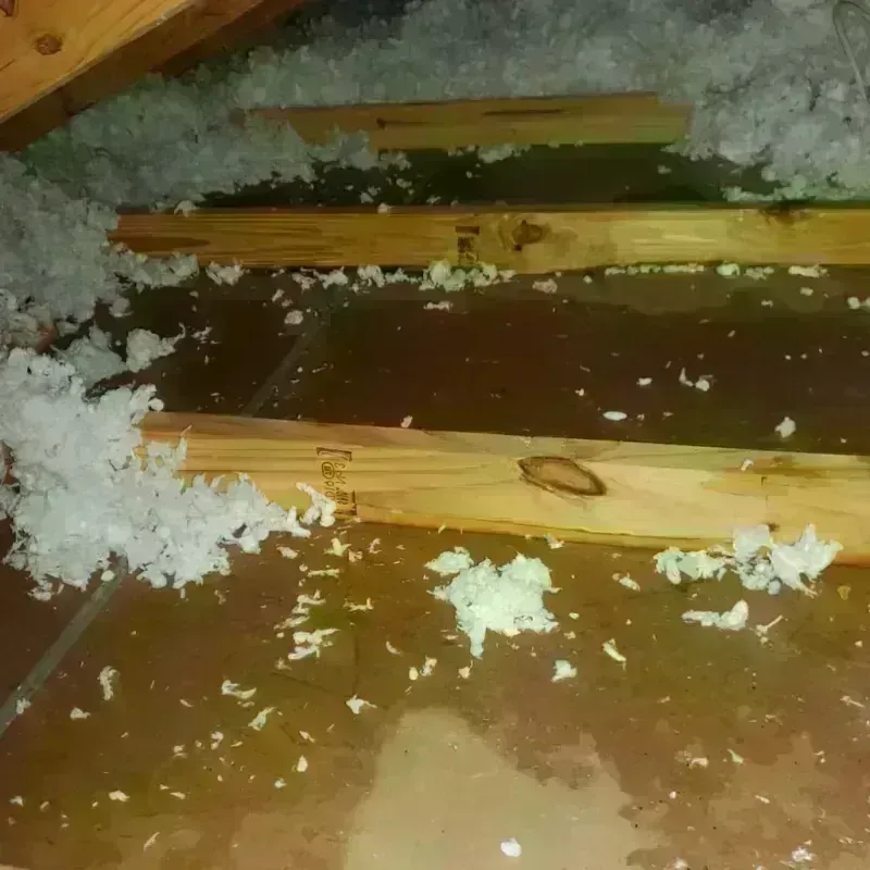 Attic Water Damage in Mechanicstown, NY